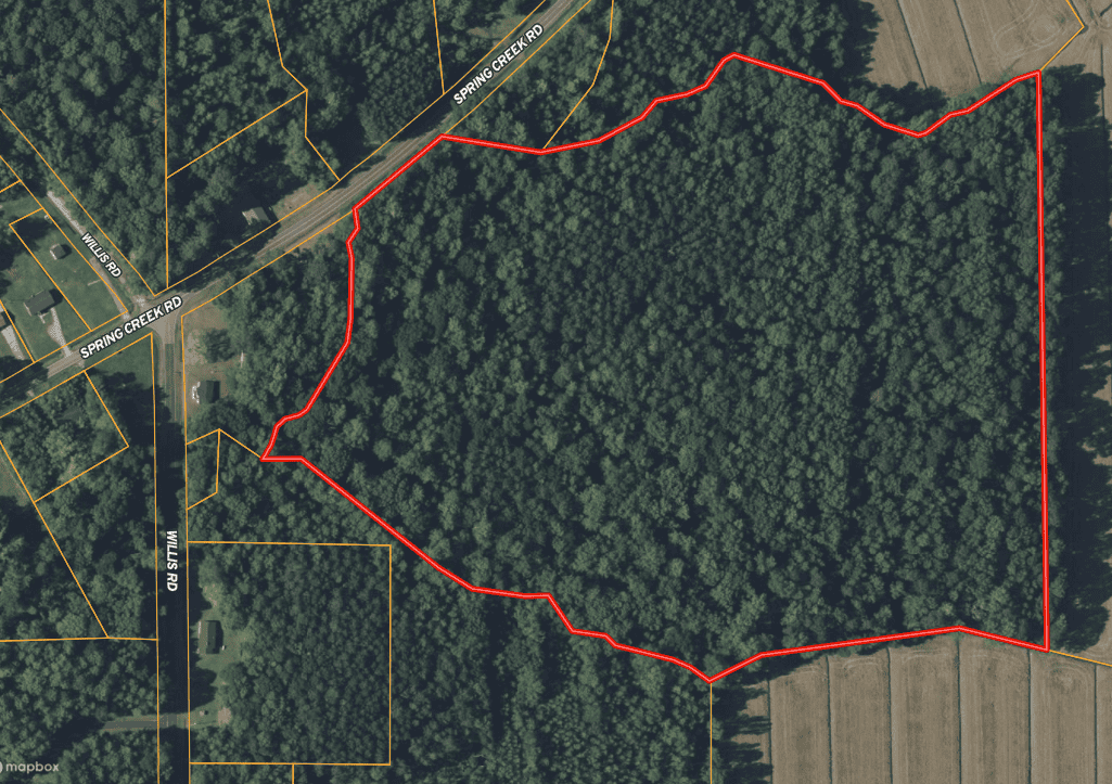 30 Acres Timberland for Sale Near Aurora, NC